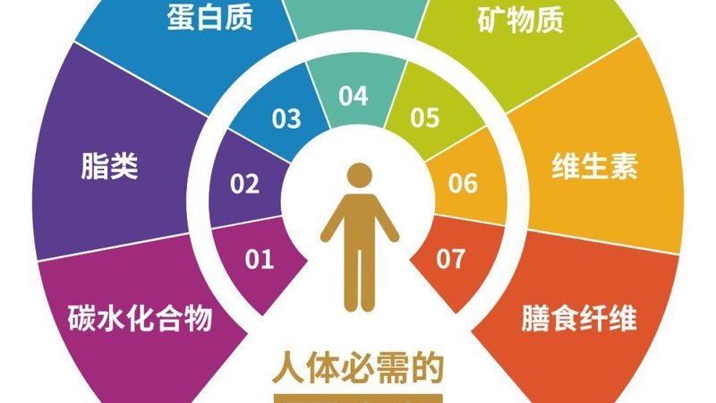 运动后恢复，你吃对时间了吗